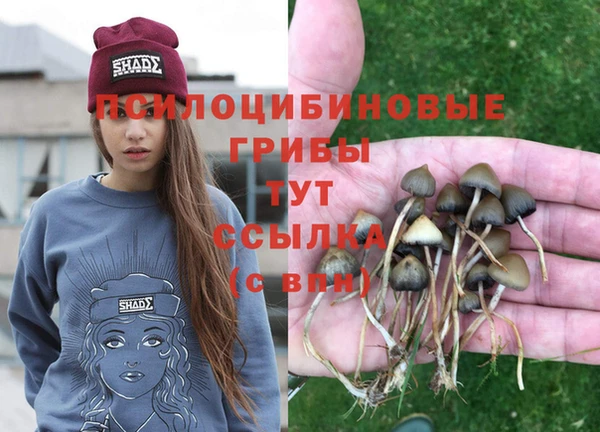 прущий лед Зерноград