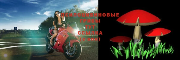 стафф Зеленодольск