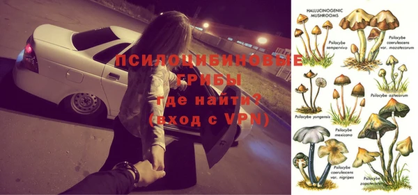 стафф Зеленодольск