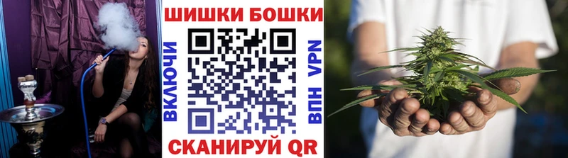 где можно купить наркотик  Черкесск  мориарти официальный сайт  Бошки марихуана марихуана 
